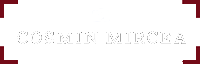 CosminMircea